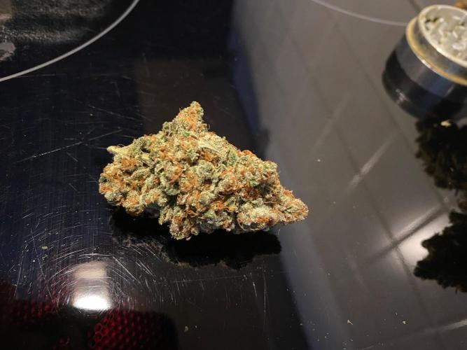 Gorilla coockies Pheno winner run. Week 19