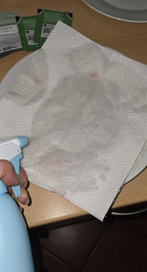 Hawaiian Snow Auto. Week 0