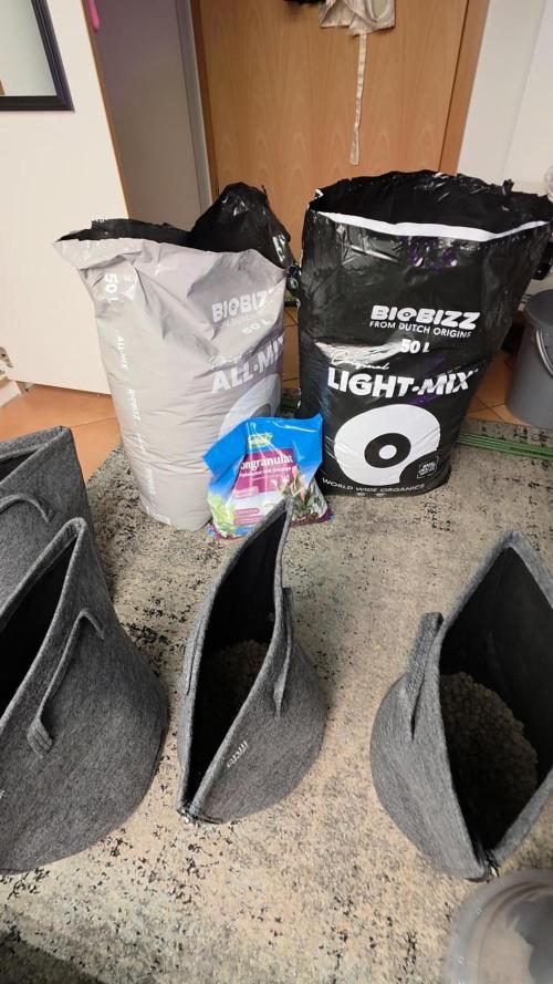 Hawaiian Snow Auto. Week 0