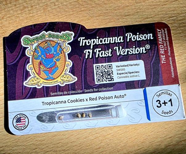 Tropicanna Poison F1 FF. Week 0