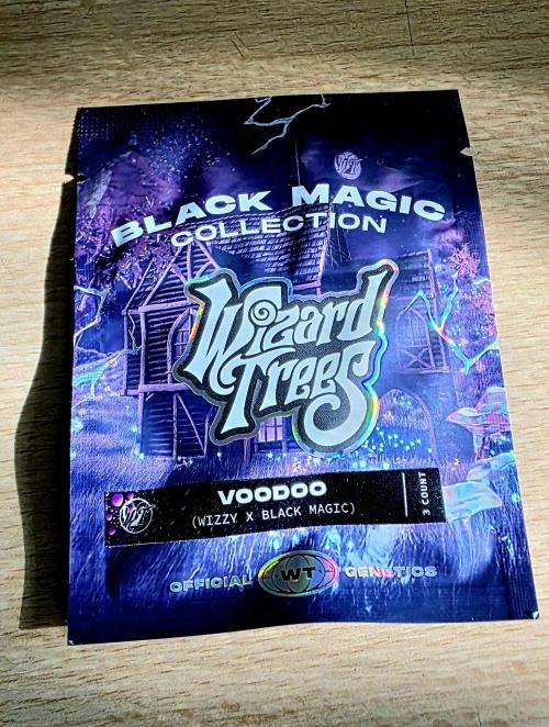 VOODOO Wizzy X Black Magic. Week 0
