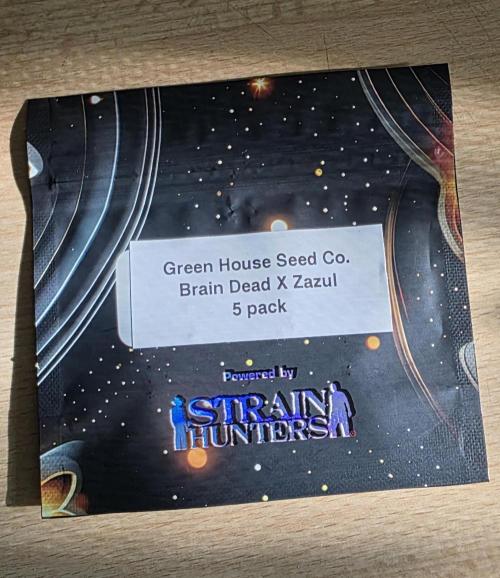 Brain Dead X Zazul. Week 0