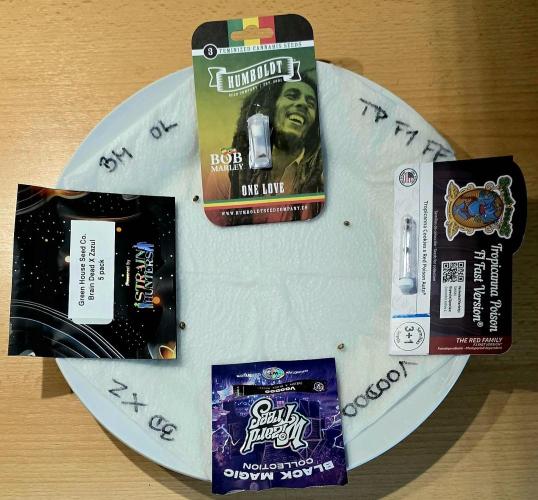 ONE LOVE Bob Marley Edition. Week 0