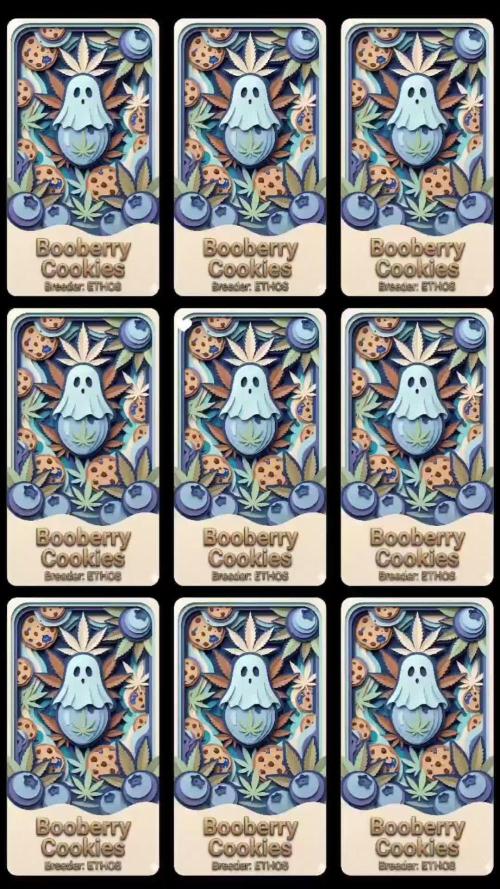 Booberry Coockies Rbx