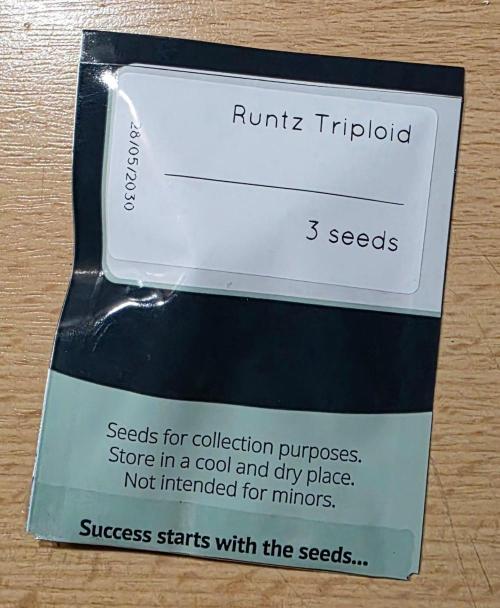 Triploid. Week 0