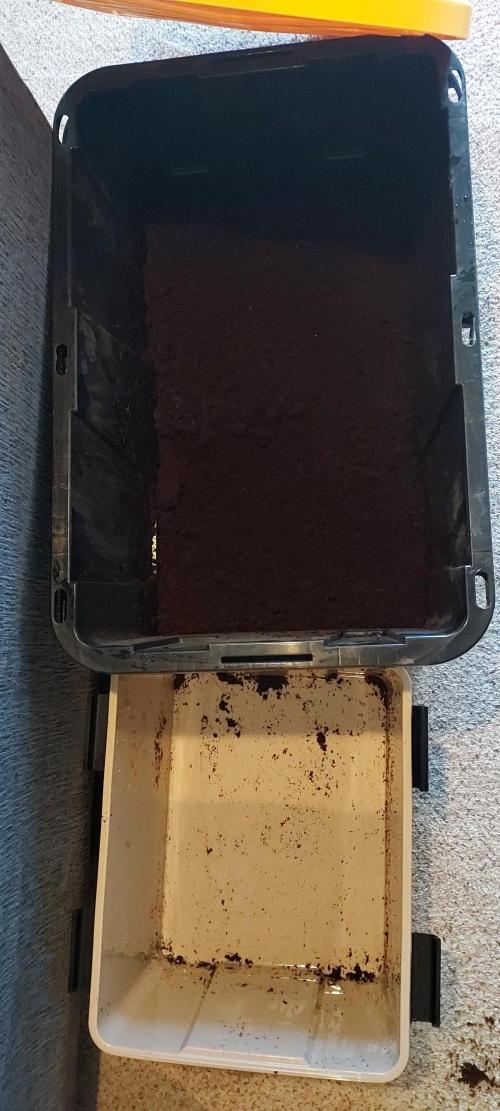 Punch Pie x 2 - Ready for a Knockout!. Week 0