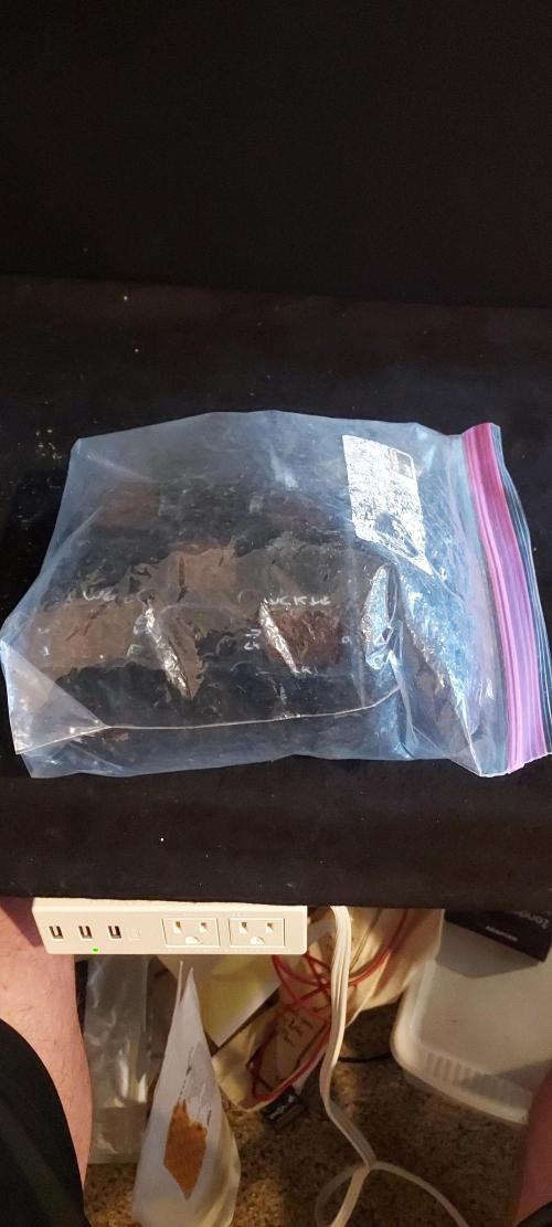 Wedding Gelato - The Bride. Week 0