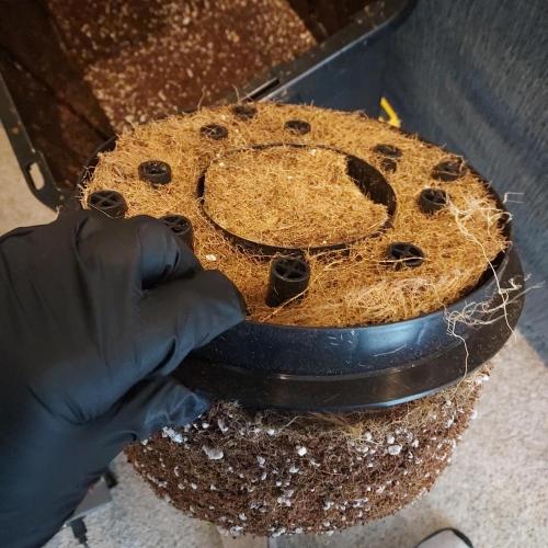 Northern Lights Auto - First Autopot Try. Week 11 - All the way through autopots and airbase!