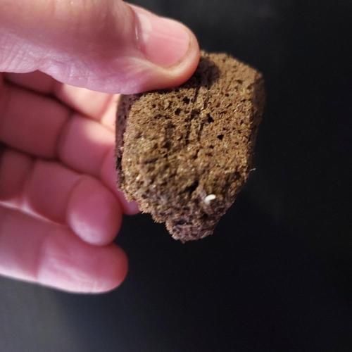 Strawberry Banana Auto. Week 0 - Nice Taproot