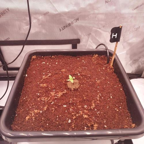 Hyperion F1. Week 0 - Day 1!