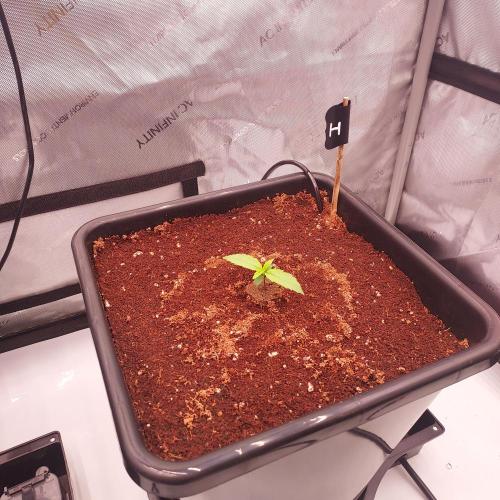 Hyperion F1. Week 1 - Day 5