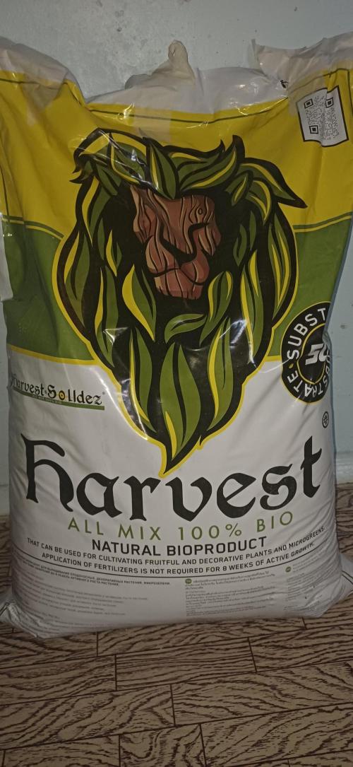 Grapes from UKHTA. Week 0