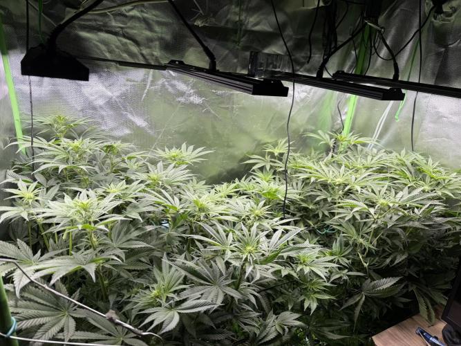 Mixed Everything. Week 8