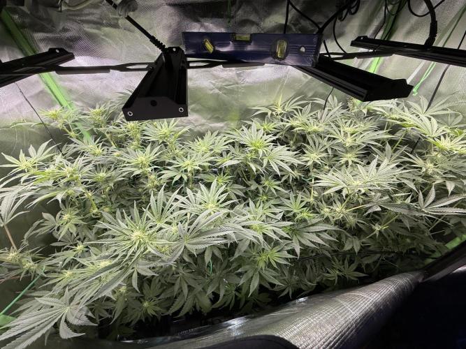 Mixed Everything. Week 8