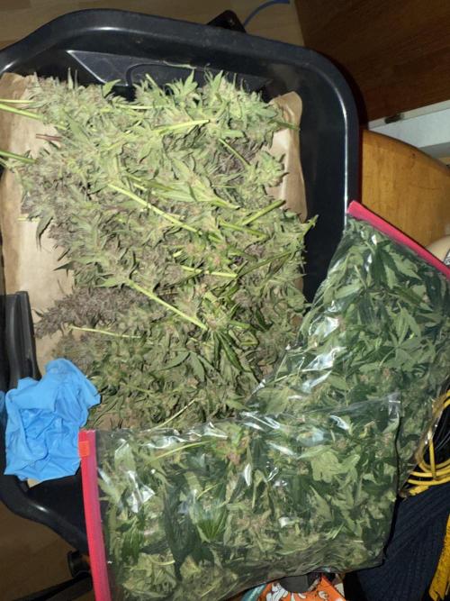 Mixed Everything. Week 11