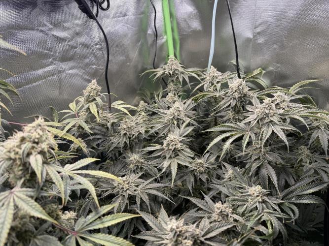 Mixed Everything. Week 14