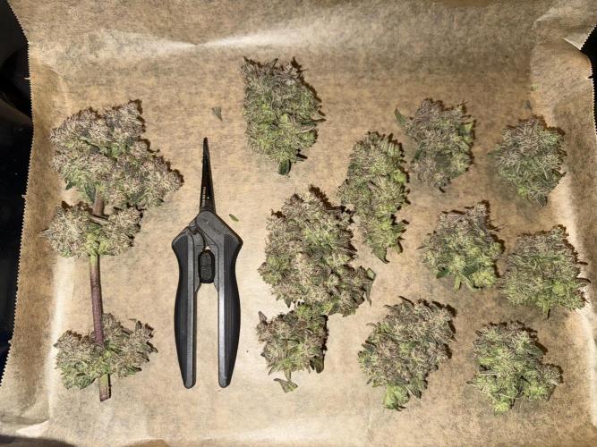 Mixed Everything. Week 17