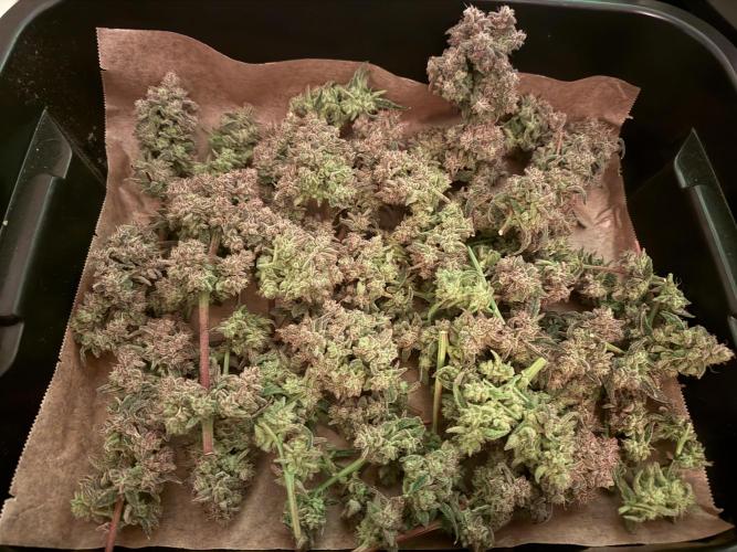 Mixed Everything. Week 17