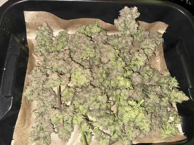 Mixed Everything. Week 17