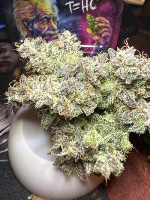 Mixed Everything. Week 17