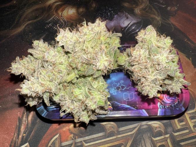 Mixed Everything. Week 17