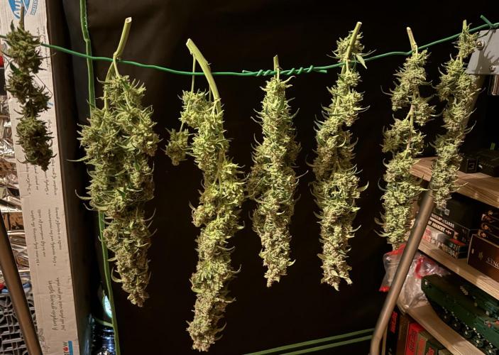 Mixed Everything. Week 18