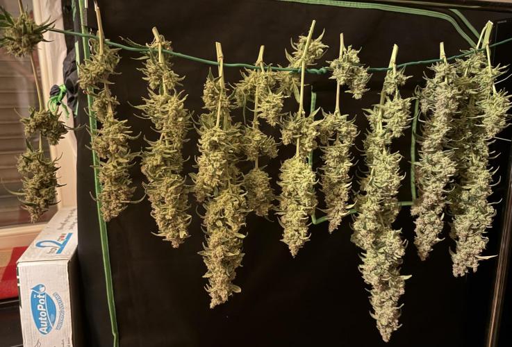 Mixed Everything. Week 18