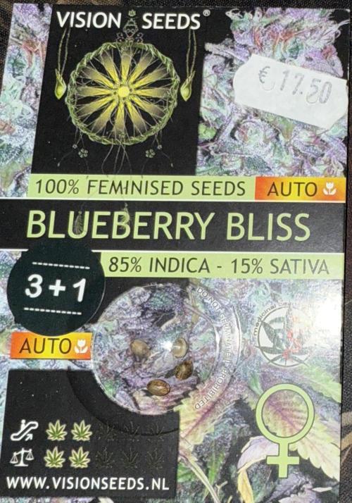 Devil Cream + Blueberry Bliss. Week 0