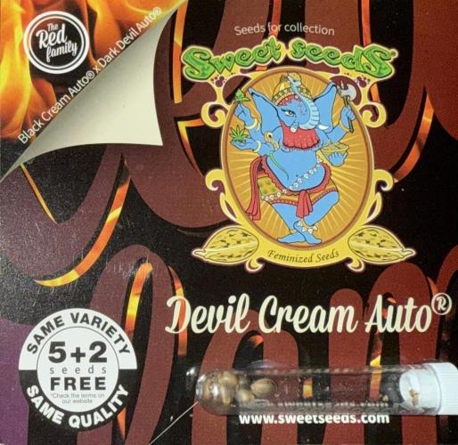 Devil Cream + Blueberry Bliss. Week 0