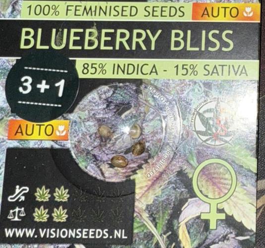 Devil Cream + Blueberry Bliss. Week 0