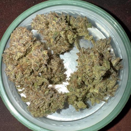 Mixed Everything. Week 18