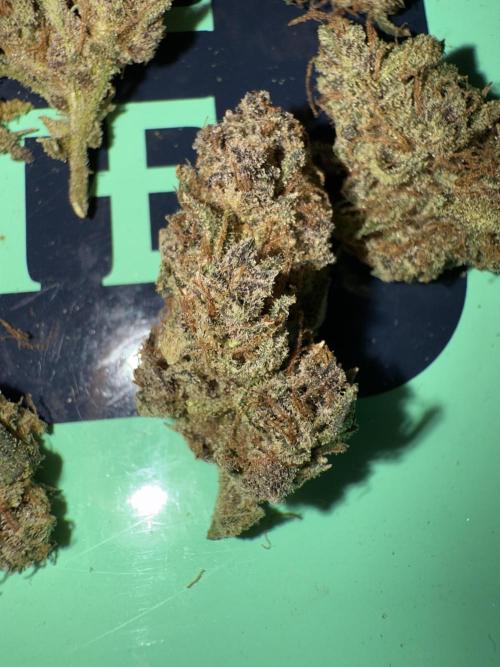 Mixed Everything. Week 12