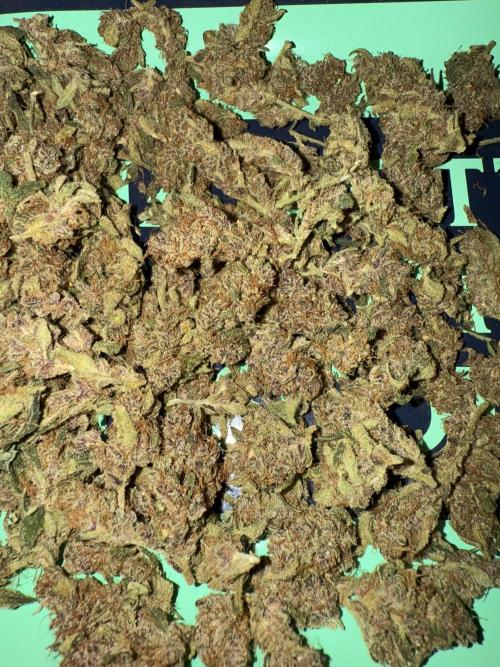 Mixed Everything. Week 12