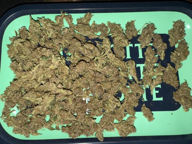 Mixed Everything. Week 12