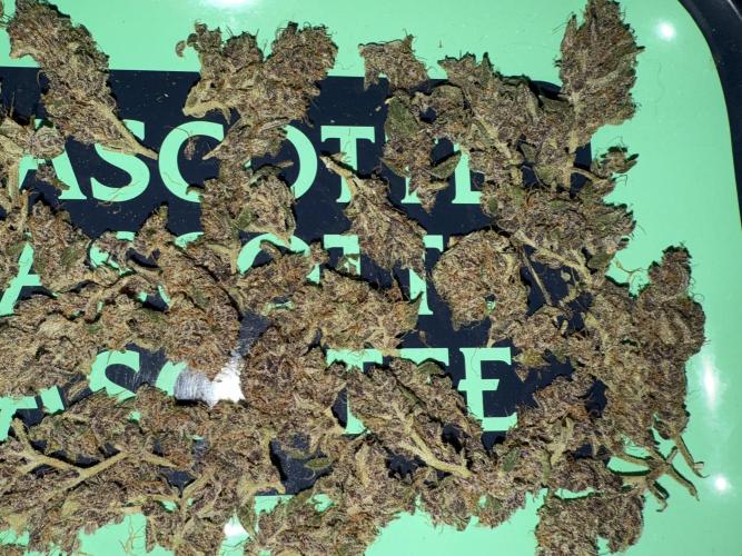 Mixed Everything. Week 13