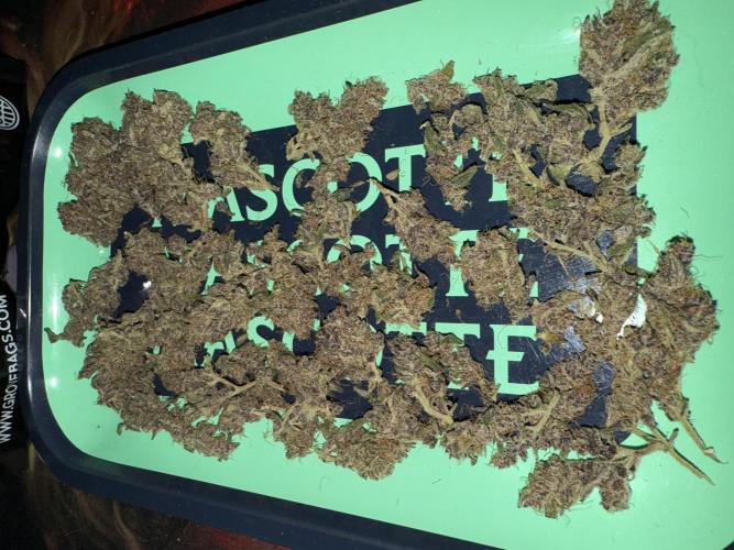 Mixed Everything. Week 13