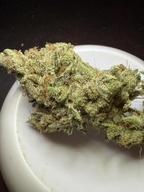 Mixed Everything. Week 17