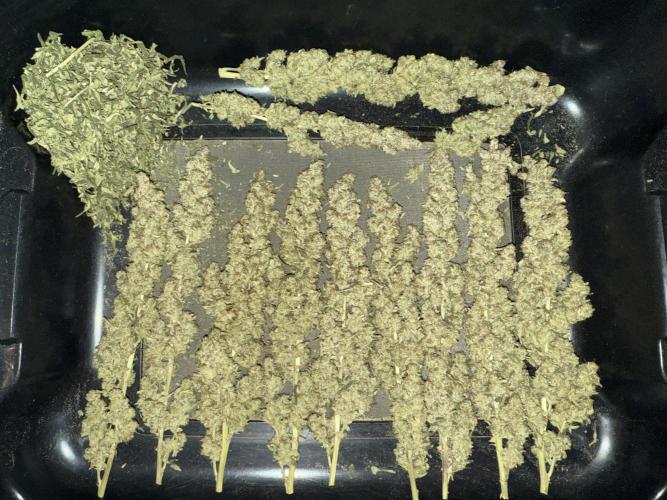 Mixed Everything. Week 19