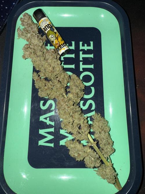 Mixed Everything. Week 19