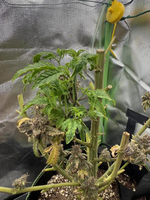 Mixed Everything. Week 22