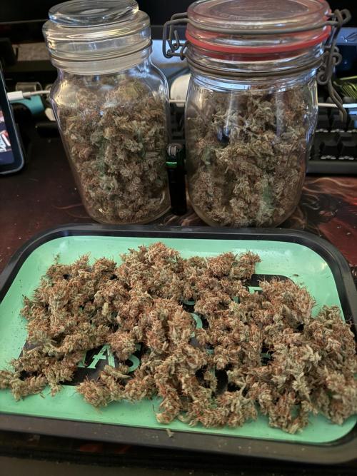 Devil Cream + Blueberry Bliss. Week 15