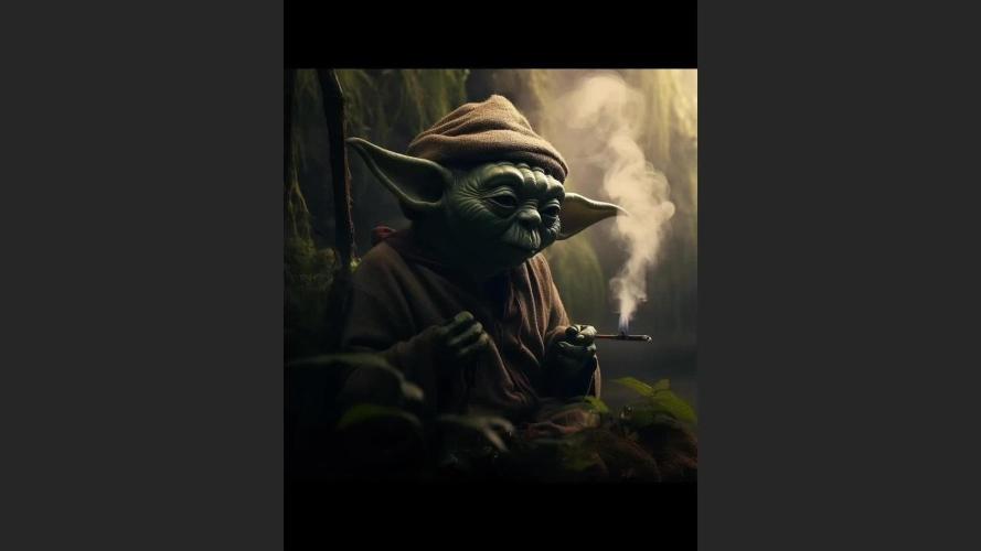 stayhighッ #420 ッ