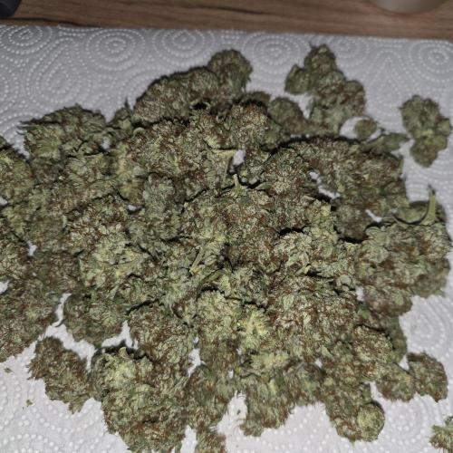 Mandarine Jam 🍊🍊. Week 9