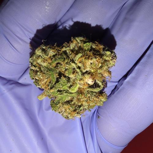 Lemon Cherry Cookies. Week 11