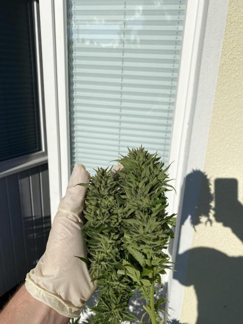 German Outdoorsaison 2025. Week 27