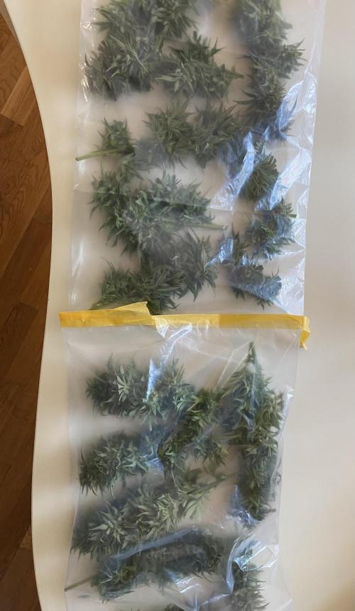 German Outdoorsaison 2025. Week 27