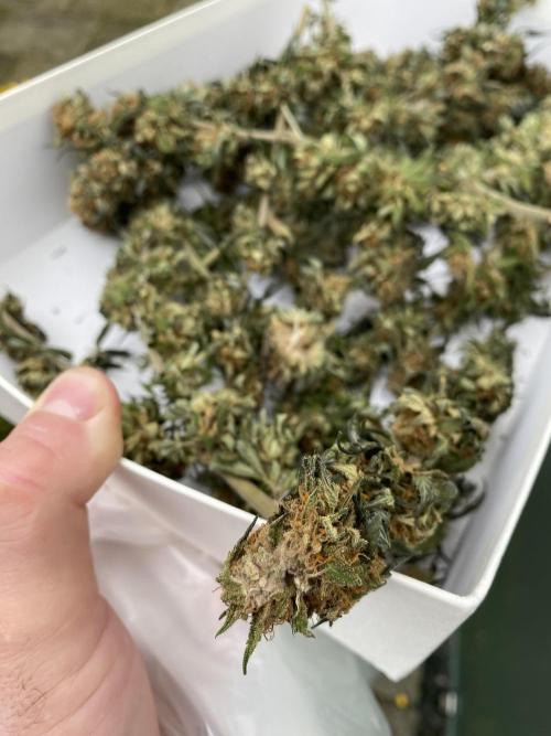 German Outdoorsaison 2025. Week 27