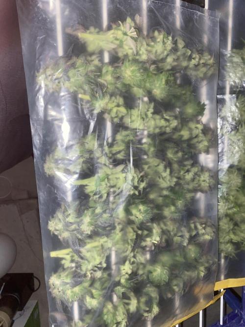 German Outdoorsaison 2025. Week 27