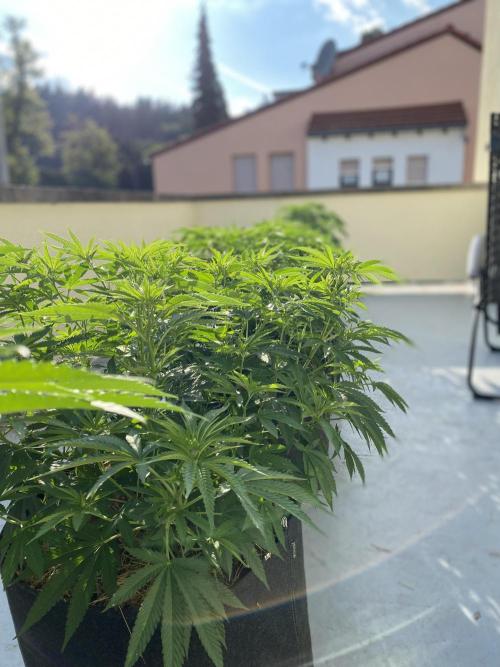German Outdoorseason (vol.2) 2026. Week 9