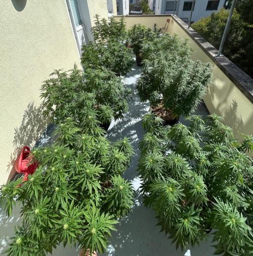 German Outdoorseason (vol.2) 2026. Week 15